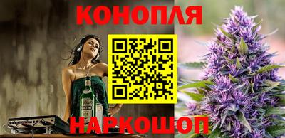 мяу мяу мука Будённовск