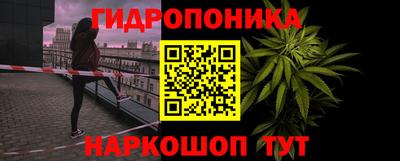 мяу мяу мука Будённовск