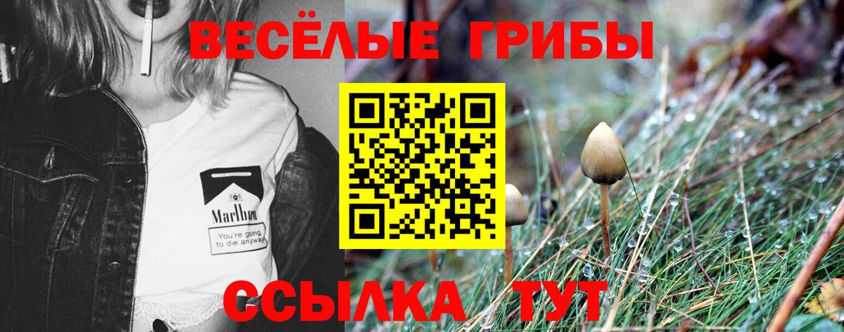 Галлюциногенные грибы Cubensis Луховицы