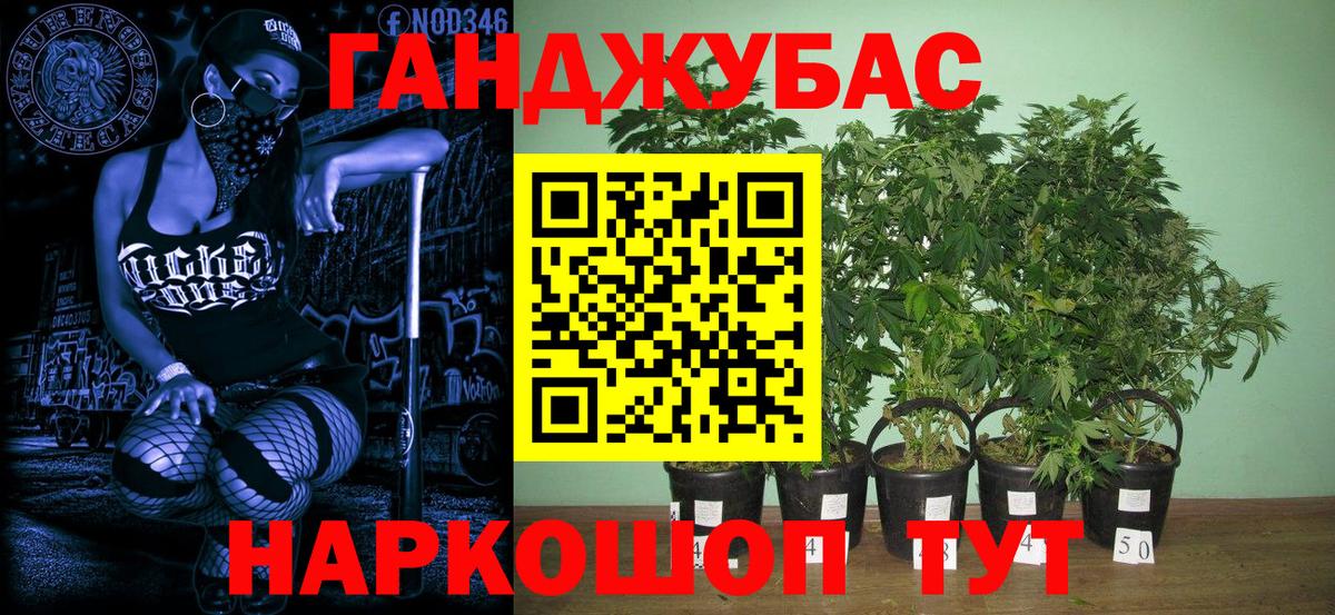 Конопля LSD WEED  Марихуана MAZAR  Луховицы  МАРИХУАНА сатива  Вход с VPN 